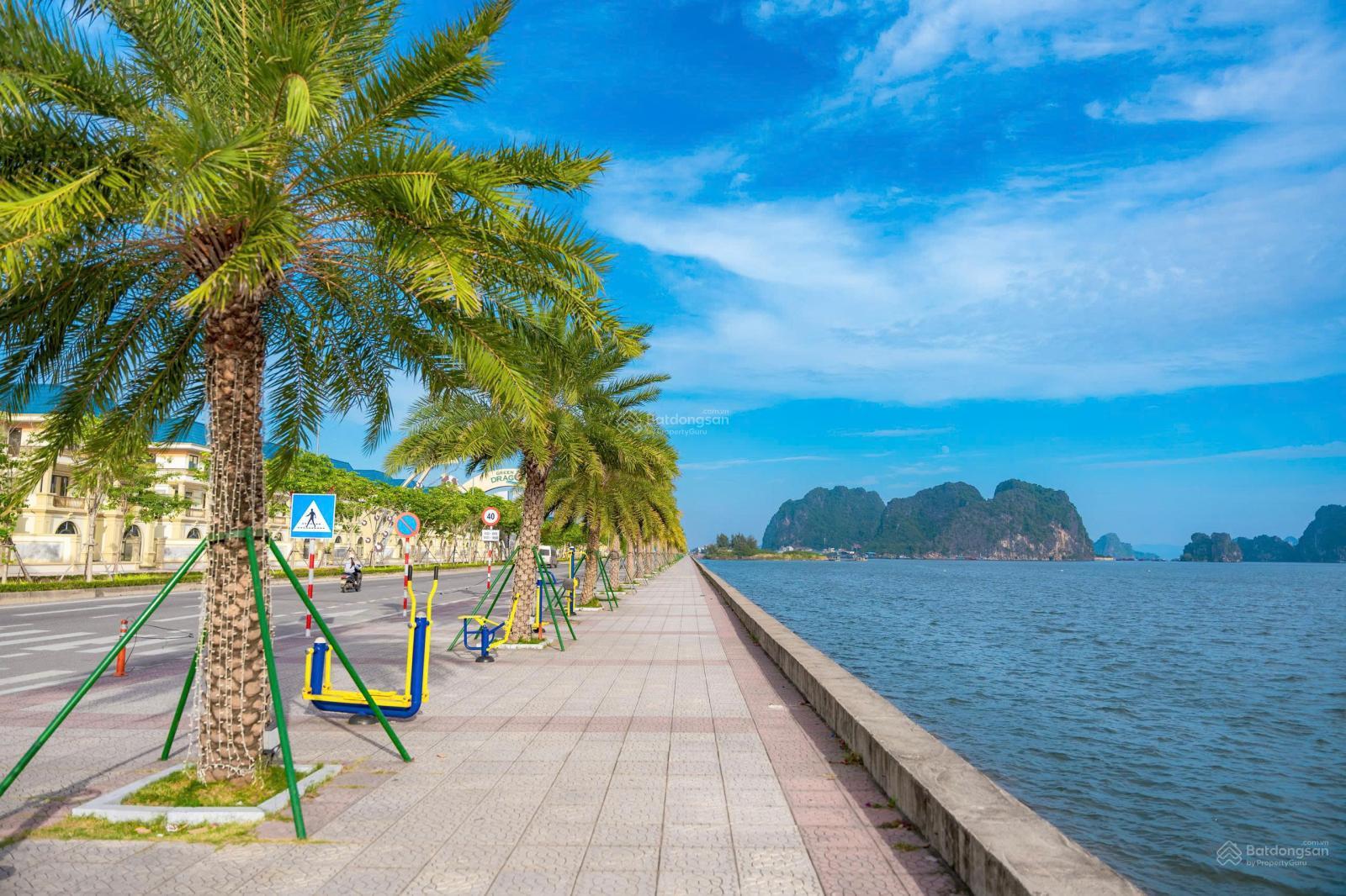 Bán gấp đất nền tại dự án Safabay Cẩm Bình, Cẩm Trung, Cẩm Phả, Quảng Ninh, chỉ 30tr/m2