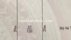 Bán lô đất 120m2 (6 x 20m). Mặt đường Trung Lực. Đoạn đẹp nhất phố Trung Lực
