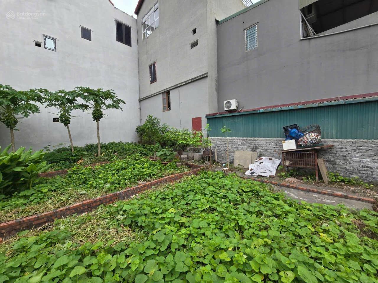 Xuân đỗ 2,6tỷ 33m2 đất trong đê - nở hậu - gần ngay khu phân lô Xuân Đỗ - trường - chợ