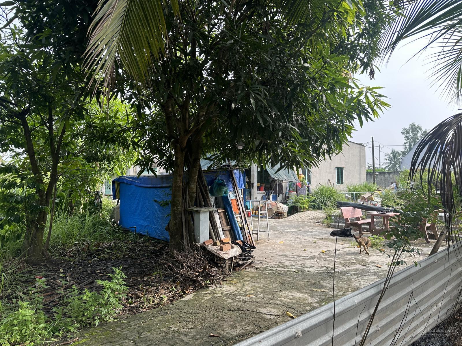 748m2 có 369m2 thổ cư mặt tiền đường Kênh Sáng, Xã Lê Minh Xuân 748m2 có 369m2 thổ cư mặt tiền đường Kênh Sáng, Xã Lê Minh Xuân