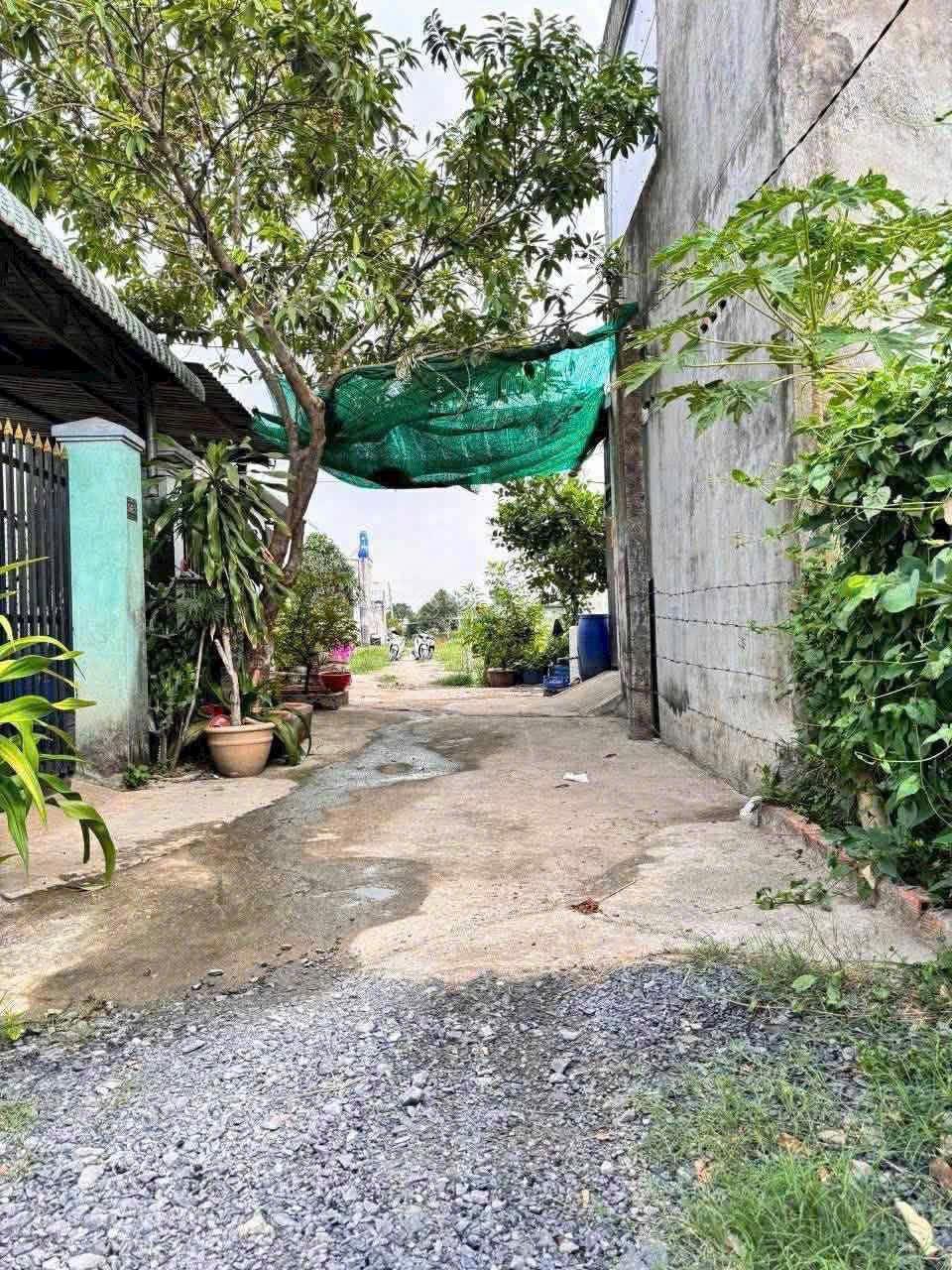 Đất Đức hoà Hạ 5x20m giá 1ty050 đường ô tô