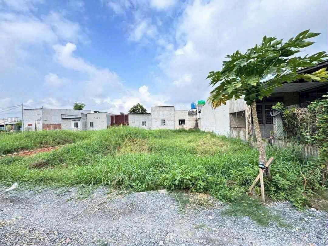 Đất Đức hoà Hạ 5x20m giá 1ty050 đường ô tô