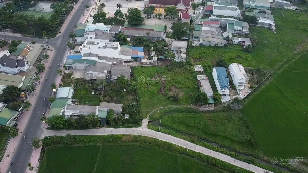 1sào MT Xuân Thủy ngang 53m Thổ Cư 100m Quy Hoạch Đất Ở, gần biển Đồi Dương và chợ Lagi, giá tốt