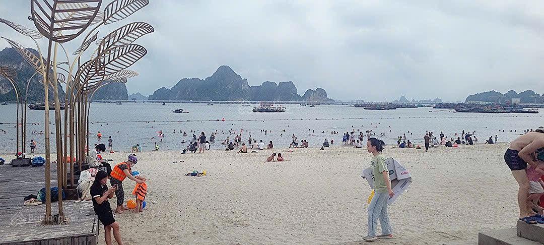 Tôi có 3 lô liền kề dự án Safabay Cẩm Phả cần bán 1 lô vị trí đẹp, sổ đỏ, giá tôi chiết khấu 16%