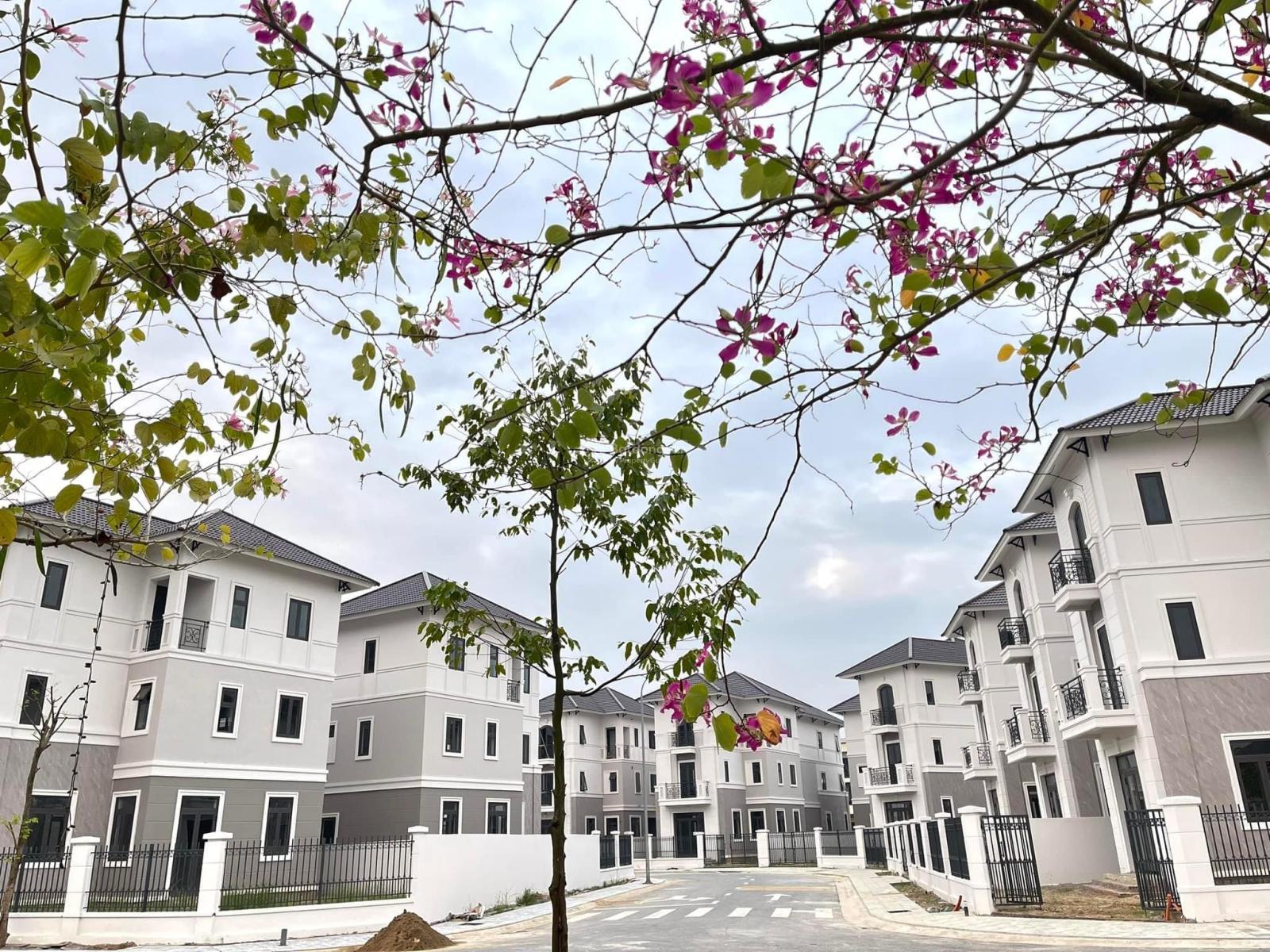 Siêu hot biệt thự Centa City DT 216m2 nhà 3 tầng đẹp lung linh sẵn sổ hồng lâu dài chưa đến 60tr/m2