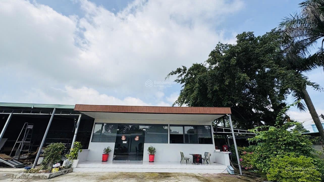 Bán Kho, nhà xưởng 49,5 tỷ, 2914m2 mặt tiền Đường 412, Xã Phước Vĩnh An, Củ Chi, HCM