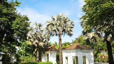 Biệt thự mặt trực diện biển Mỹ Khê sở hữu lâu dài, BTB 5 sao Đà Nẵng Premier Village Resort