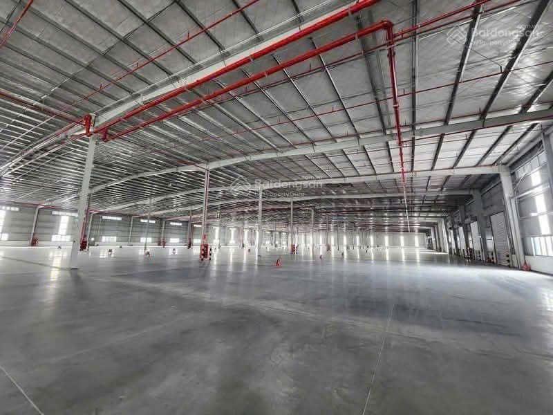 Cho thuê nhà xưởng trong khu công nghiệp Bàu Bàng Bình Dương