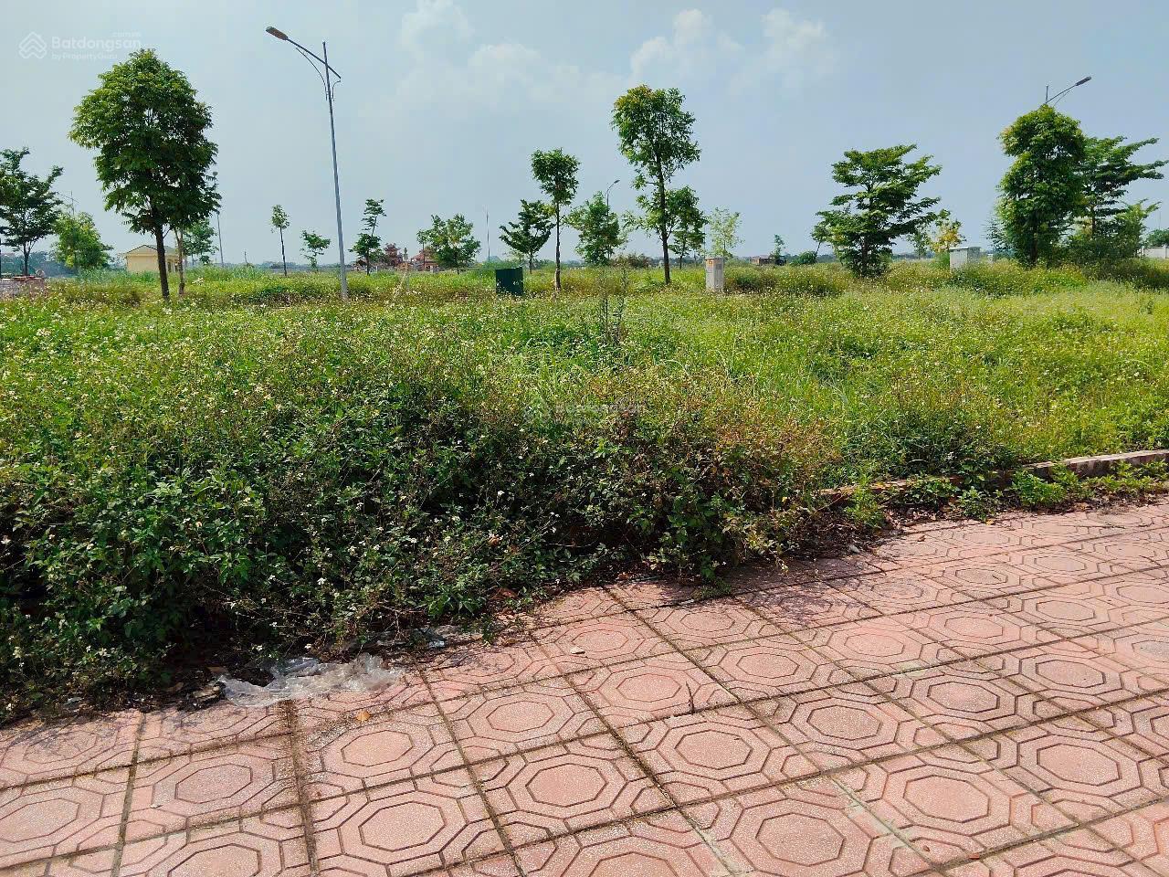 Lô đất đấu giá mặt đường 308 Tiến Thịnh, Mê Linh - vỉa hè 15m - giá tốt nhất khu vực