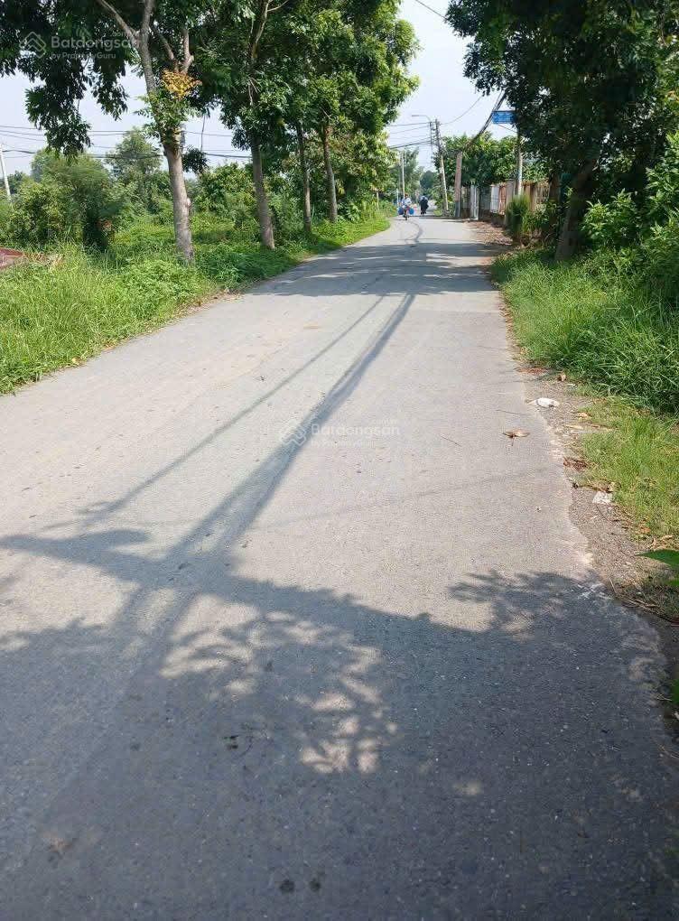 Sỡ hữu ngay 504m2 đất vườn mặt tiền đường nhựa Bùi Văn Sự chỉ 2,5 tỷ