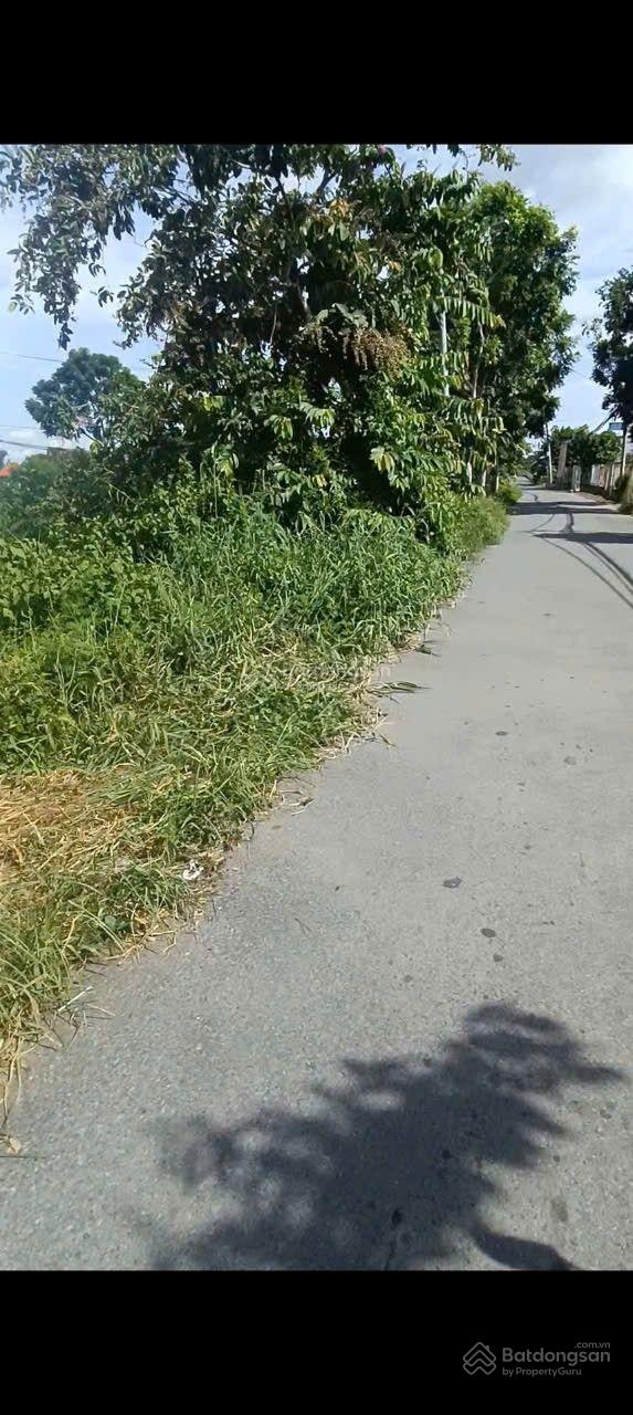 Sỡ hữu ngay 504m2 đất vườn mặt tiền đường nhựa Bùi Văn Sự chỉ 2,5 tỷ