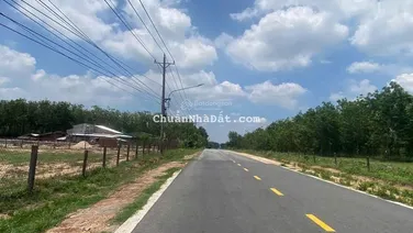Cần bán 3000m2 đất mặt tiền nhựa 12m, giá bán 2 tỷ Dầu Tiếng Bình Dương