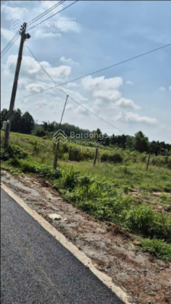 Cần bán 3000m2 đất mặt tiền nhựa 12m, giá bán 2 tỷ Dầu Tiếng Bình Dương Cần bán 3000m2 đất mặt tiền nhựa 12m, giá bán 2 tỷ Dầu Tiếng Bình Dương