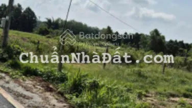 Cần bán đất ngang 25m dài 50m giá bán 2.6 tỷ có 300m2 thổ cư