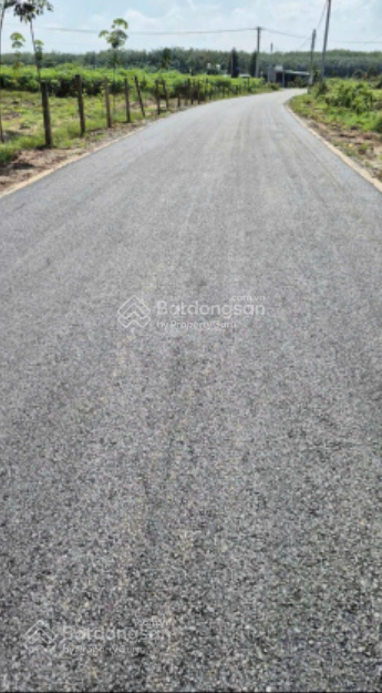 Cần bán đất ngang 25m dài 50m giá bán 2.6 tỷ có 300m2 thổ cư