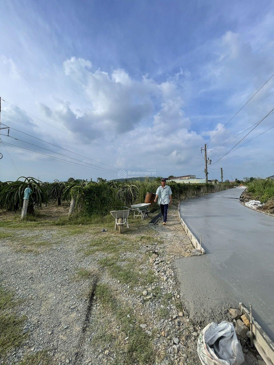 Bán đất thanh long cách Phan Thiết 16km, ngay trạm thu phí Sông Phan, DT 15500m2