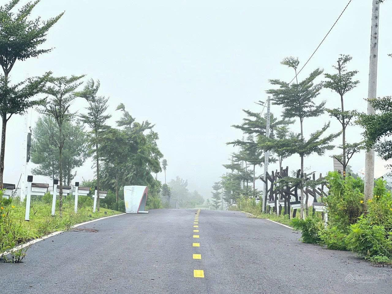 Đất sổ đỏ ở Bảo Lâm khu compound an ninh, view đồi liền kề cao tốc Dầu Giây Liên, giá 4,8 tr/m2 Đất sổ đỏ ở Bảo Lâm khu compound an ninh, view đồi liền kề cao tốc Dầu Giây Liên, giá 4,8 tr/m2
