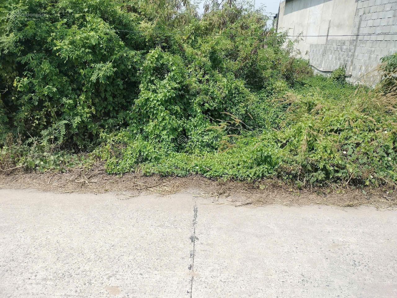 Em bán đất thổ cư 103m2 ( có 80m2 thổ cư) ngang 5 dài 20. Gần Kênh Đông, Phước Thạnh, Củ Chi. 800tr