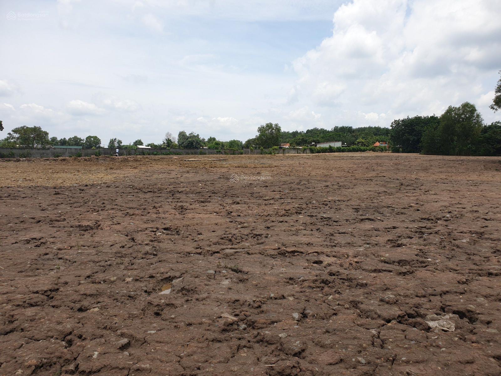 Bán đất Củ Chi, đất Xã Phú Hòa Đông DT 1ha giá 2,8tr/m2