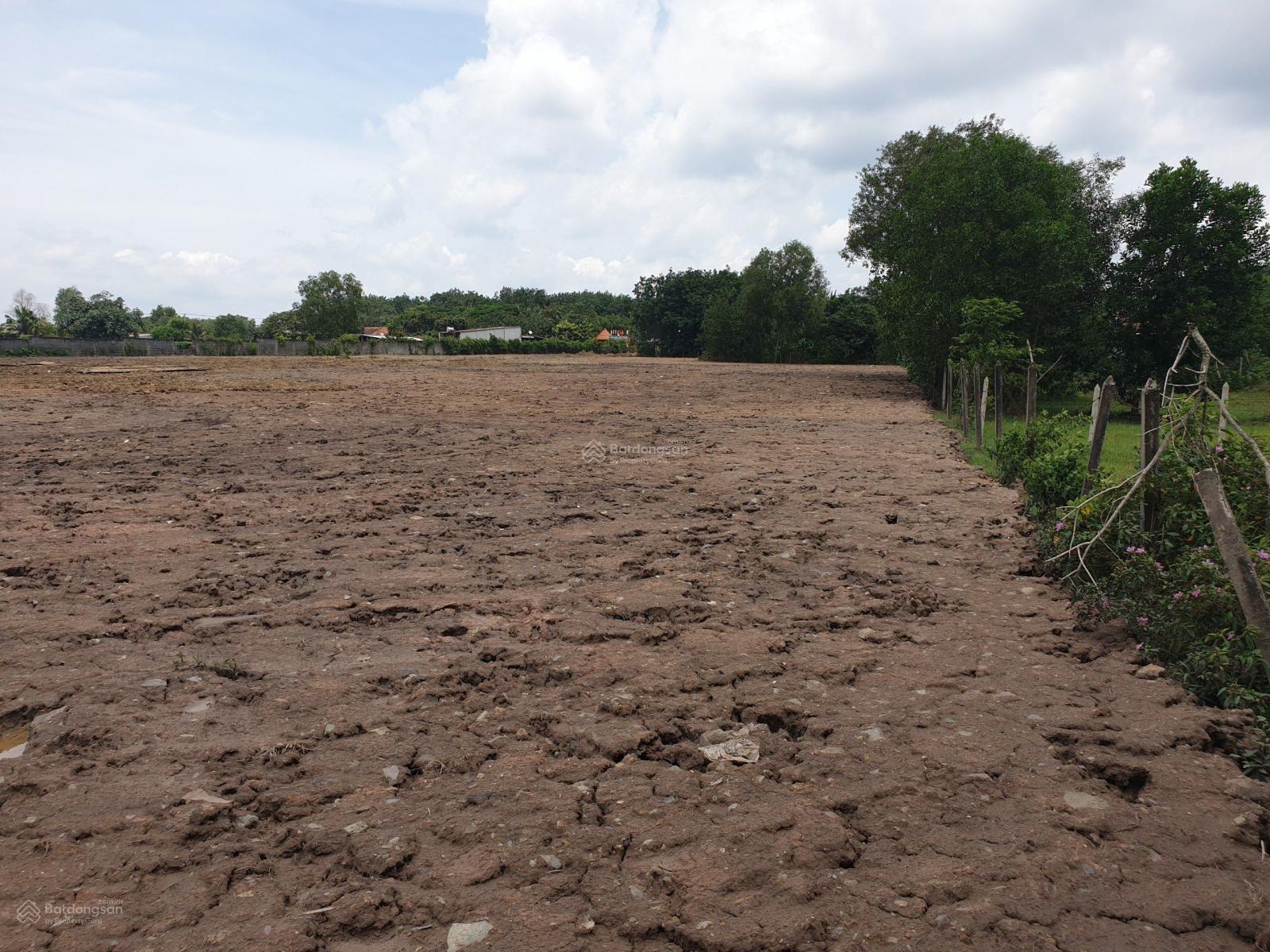 Bán đất Củ Chi, đất Xã Phú Hòa Đông DT 1ha giá 2,8tr/m2