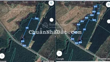 Cần bán gấp hơn 2 mẫu đất Xuân Lộc, 600tr/sào (2 sổ liền kề)