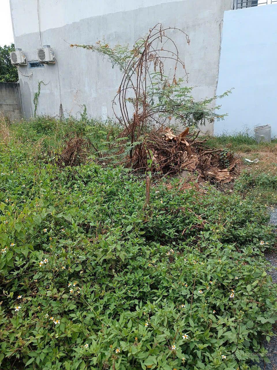 Cần bán nhanh lô đất thổ cư xã Bình Hòa. Giá tốt