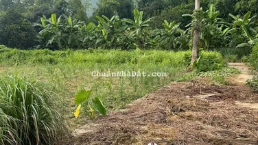 Chính chủ cần bán ra lô đất full đất ở diện tích 351,6m2 tại Lâm Sơn, Lương Sơn giá chỉ 2 tỷ xíu