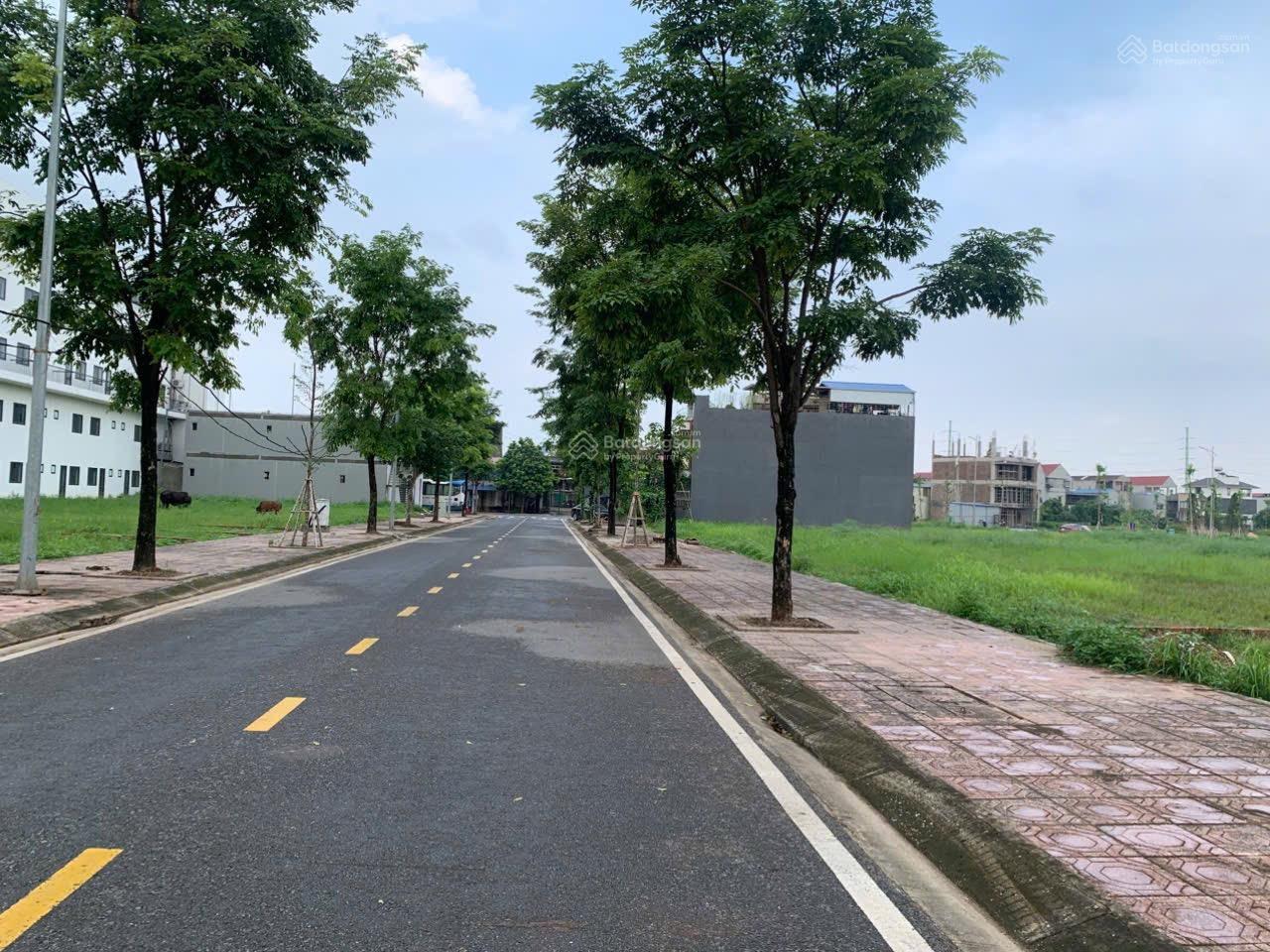 Chính chủ cần tiền thanh khoản gấp lô đất Tấn Đức JSC làn 2 giá rẻ nhất dự án Chính chủ cần tiền thanh khoản gấp lô đất Tấn Đức JSC làn 2 giá rẻ nhất dự án