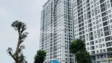 Cho thuê căn 58m2, 2 ngủ full nội thất tại chung cư Hateco Xuân Phương giá 8tr/tháng LH: 0973 351 ***