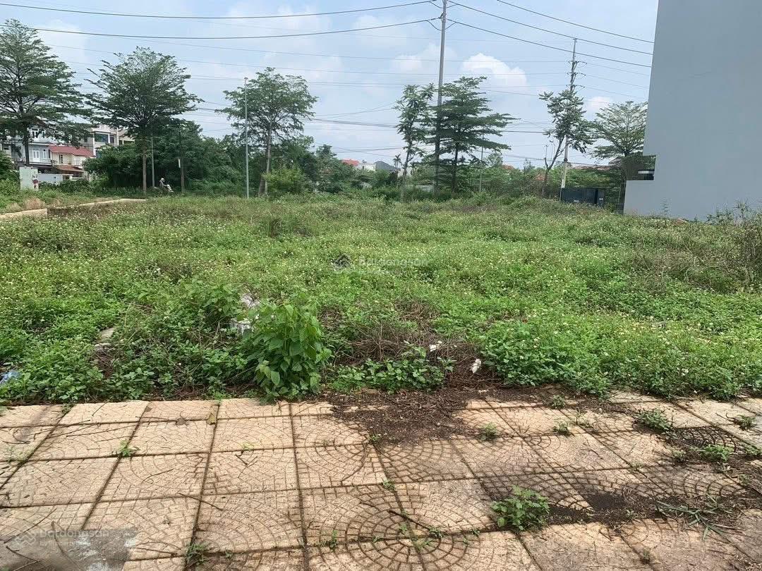 Bán đất Đồng Trúc 186 m2 giá 8.9 tỷ