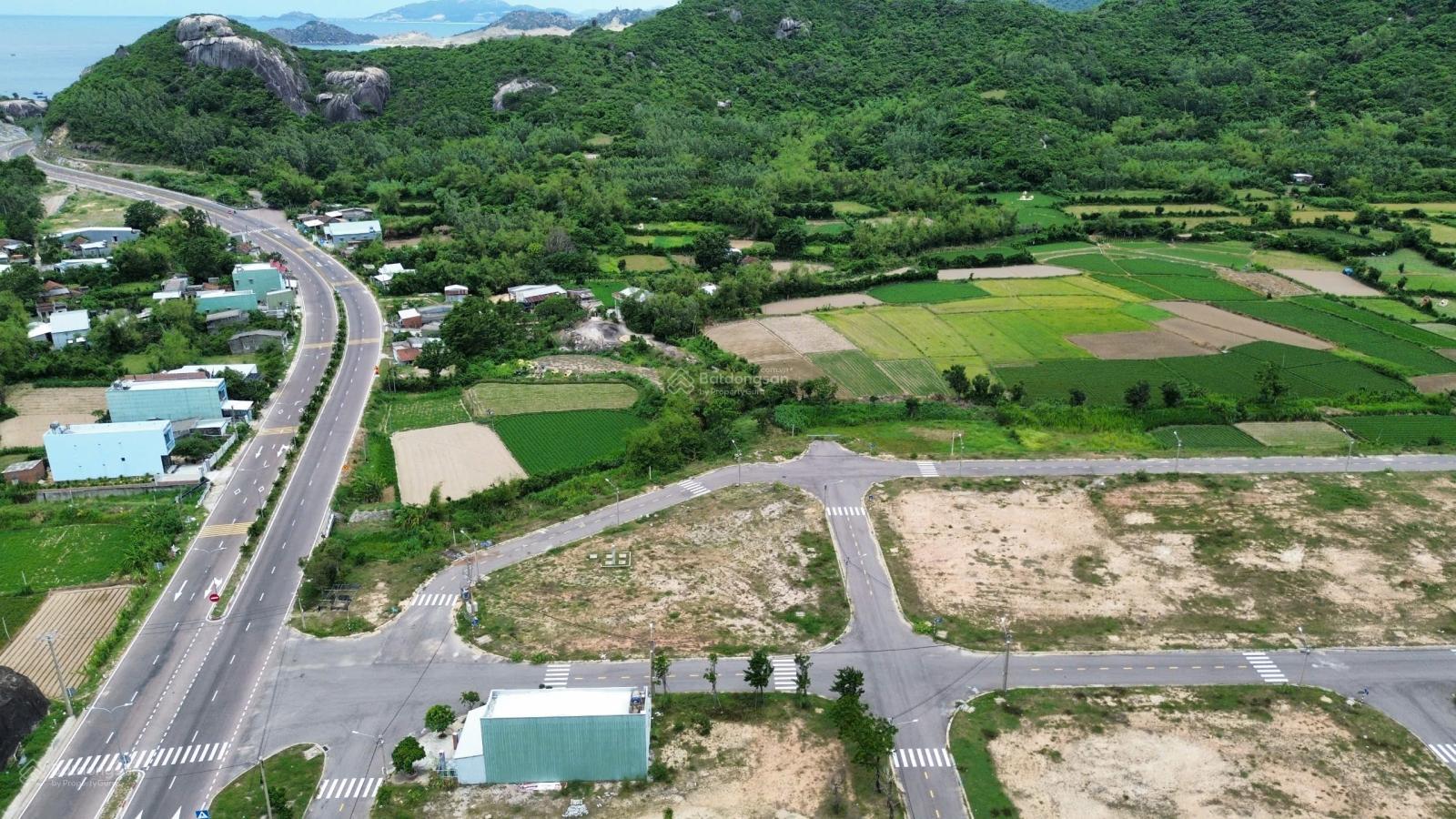 Bán đất biển Tân Thanh - Cát Hải - tỉnh Bình Định giá 6.5tr/m2