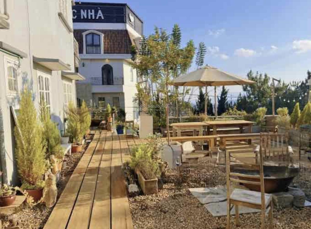 Chủ bị giật hụi bán lô biệt thự view rừng thông P10, Đà Lạt giá ngộp, DT 675.95m2 công chứng ngay