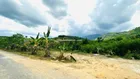 Bán nhanh 500m2 đất full thổ cư xã Giang Ly - Khánh Vĩnh hợp làm farm