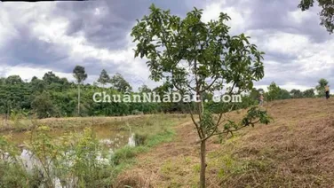 Bán gấp đất view đỉnh, giáp suối đường ô tô, thế đất đẹp nghỉ dưỡng