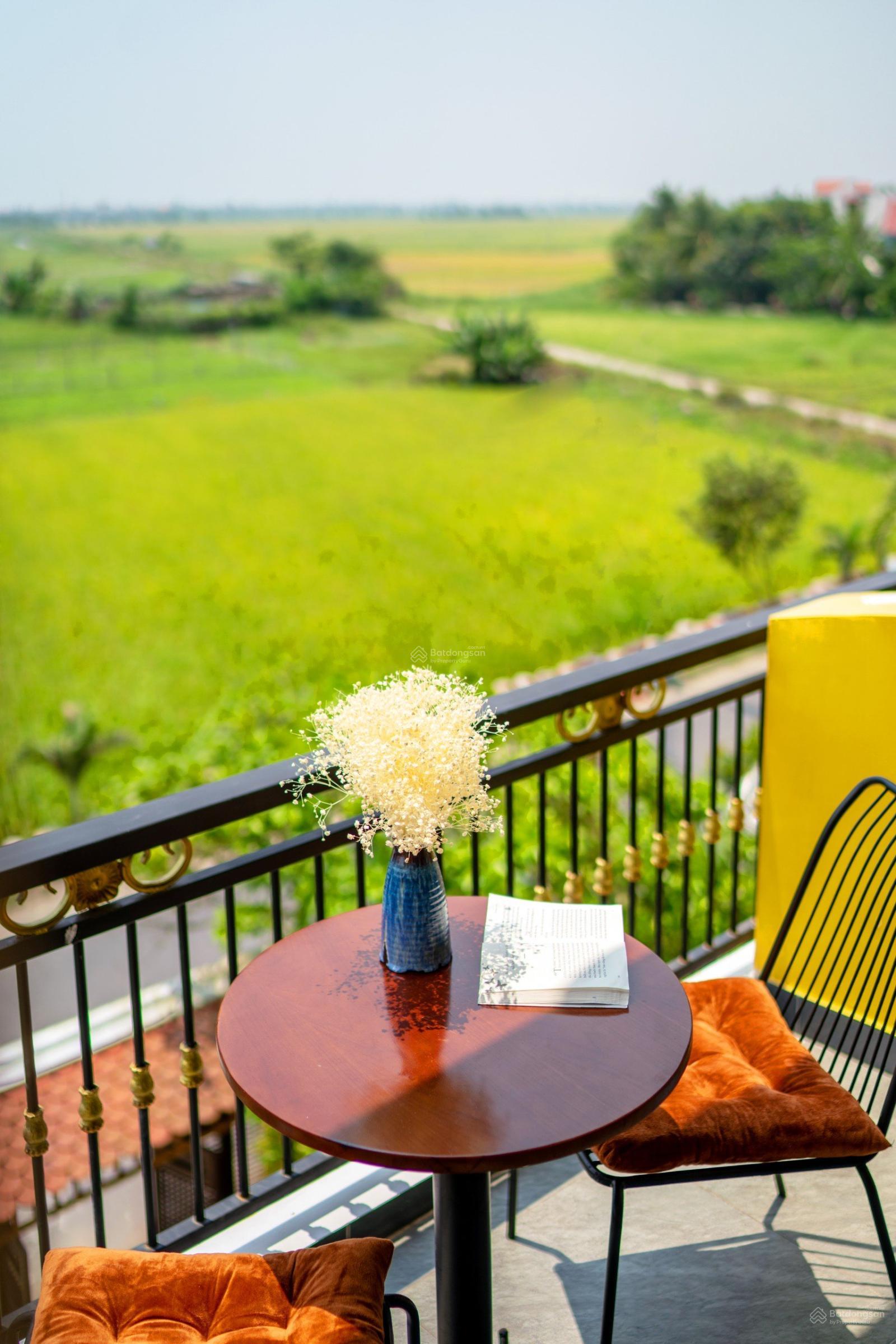 Villa view lúa chill chill, mặt tiền đường Lê Thánh Tông thuận tiện KD, đang kinh doanh, DT 381.4m2