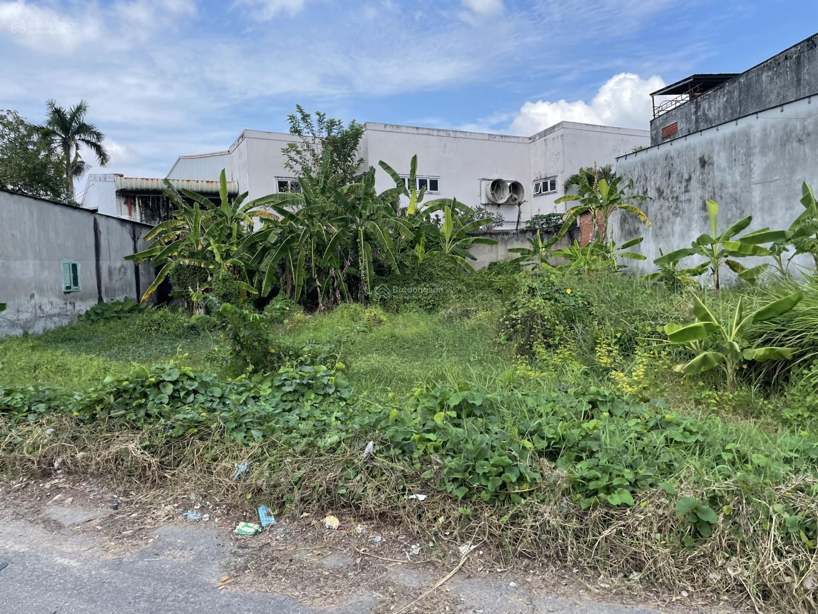 Đất thổ cư đường Trung Viết, xã Phước Hiệp, Củ Chi. Diện tích 134m2 (5x26.8)m. Sổ riêng