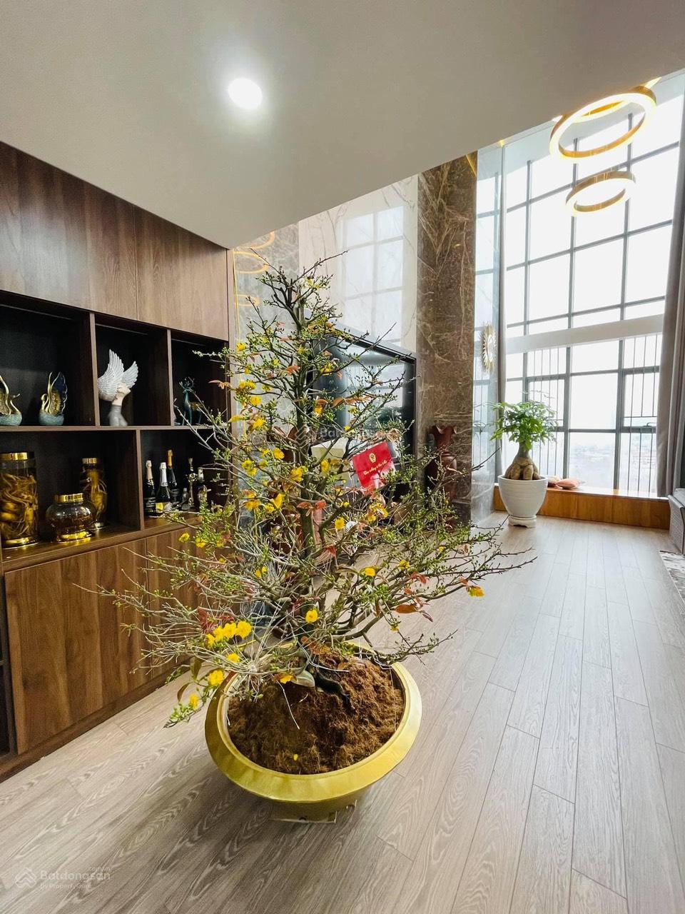 Cần bán gấp căn duplex penthouse 250m2 chung cư Newskyline, Văn Quán, Hà Đông, giá siêu hời 16,5 tỷ