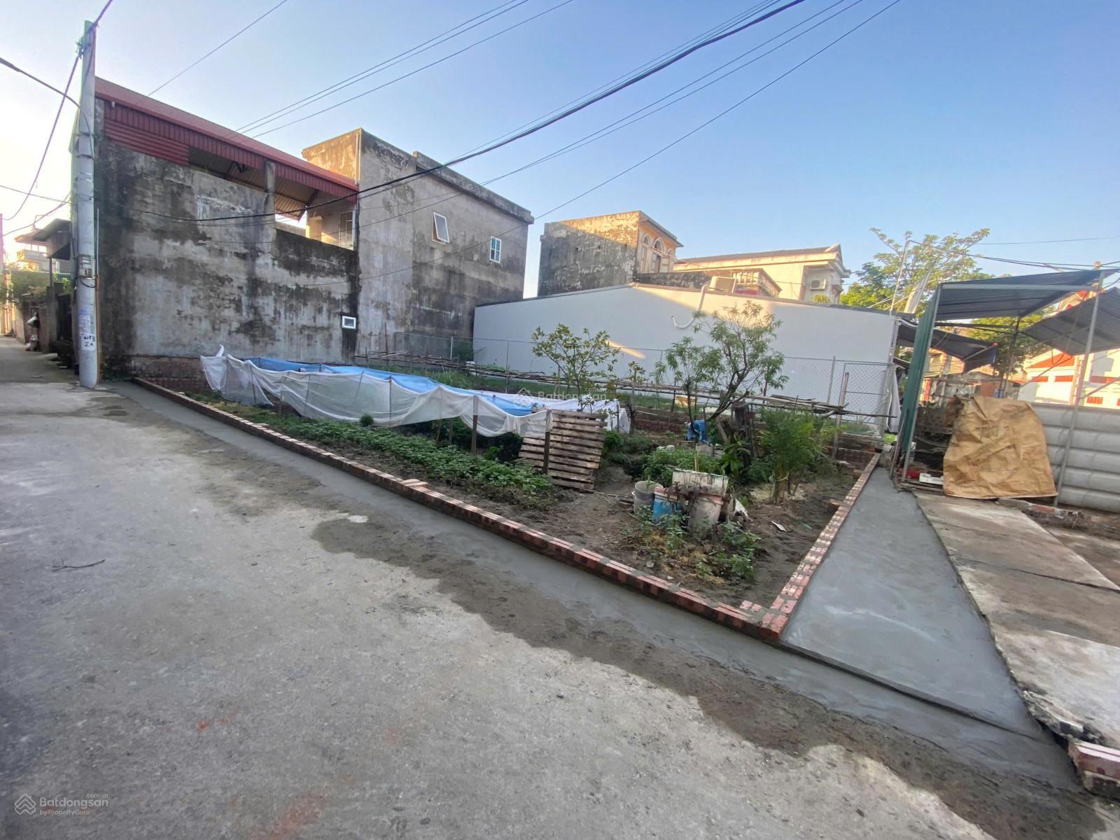 Chính chủ bán đất Xuân Nộn, Đông Anh - 116m2 - Đường chính đầu Đình Trung - Lô góc mặt tiền rộng