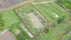 850 triệu sở hữu ngay lô đất view suối cực đẹp tại TT. Di Linh