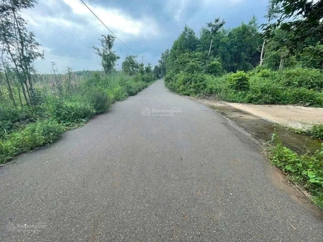 Bán lô đất 2 mt đg nhựa và bê tông ô tô tải 6m thông ngay kdc xã Bình giã Tp HCM