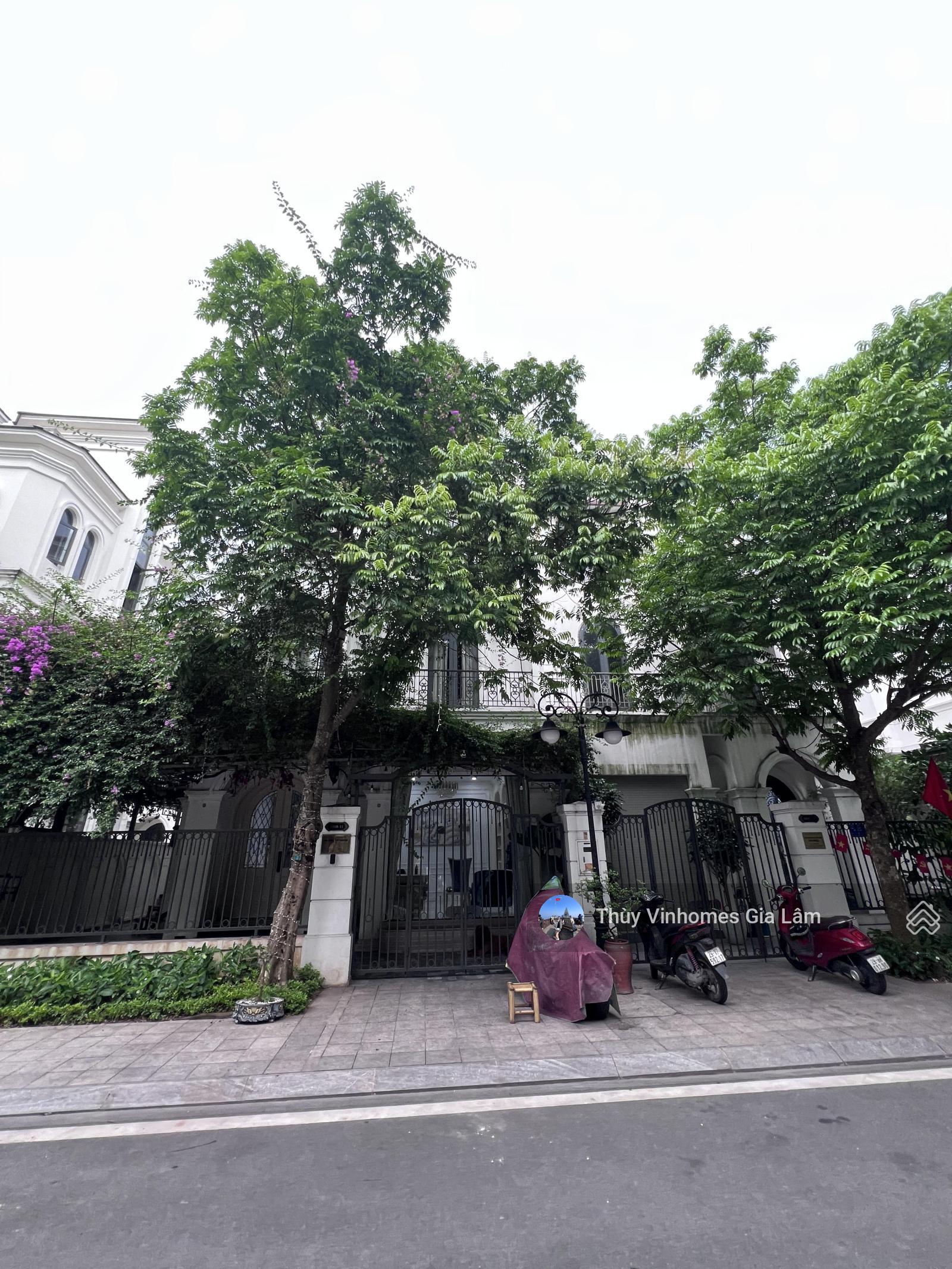 Cho thuê (hàng hiếm) tại Vinhomes Ocean Park. Giá 25tr/th