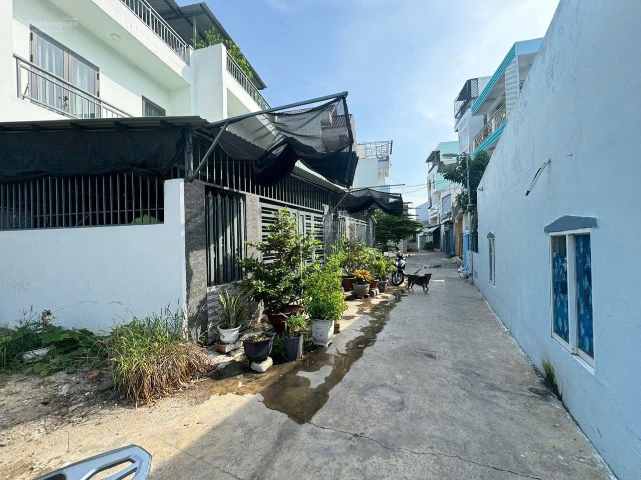 Bán đất tổ 1 Vĩnh Điềm Ngọc Hiệp Nha Trang