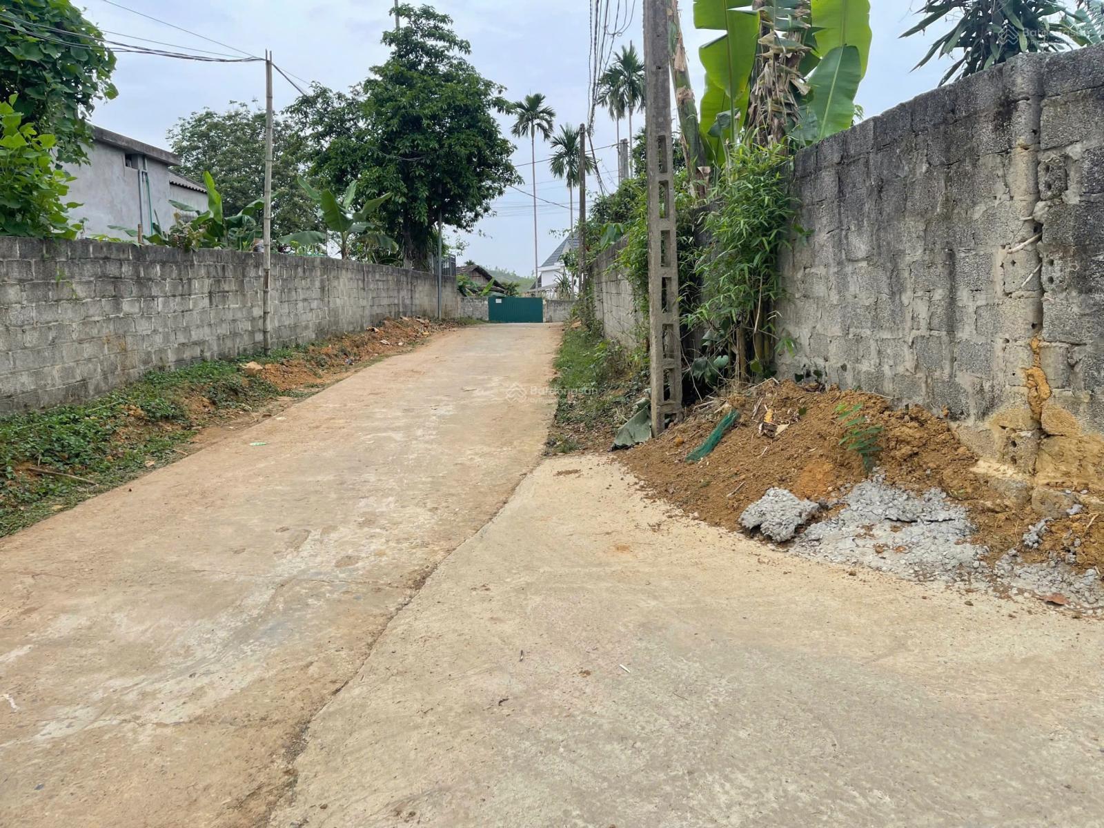 Chính chủ em cần bán gấp lô đất tại Tinh Nhuệ Phú Thọ