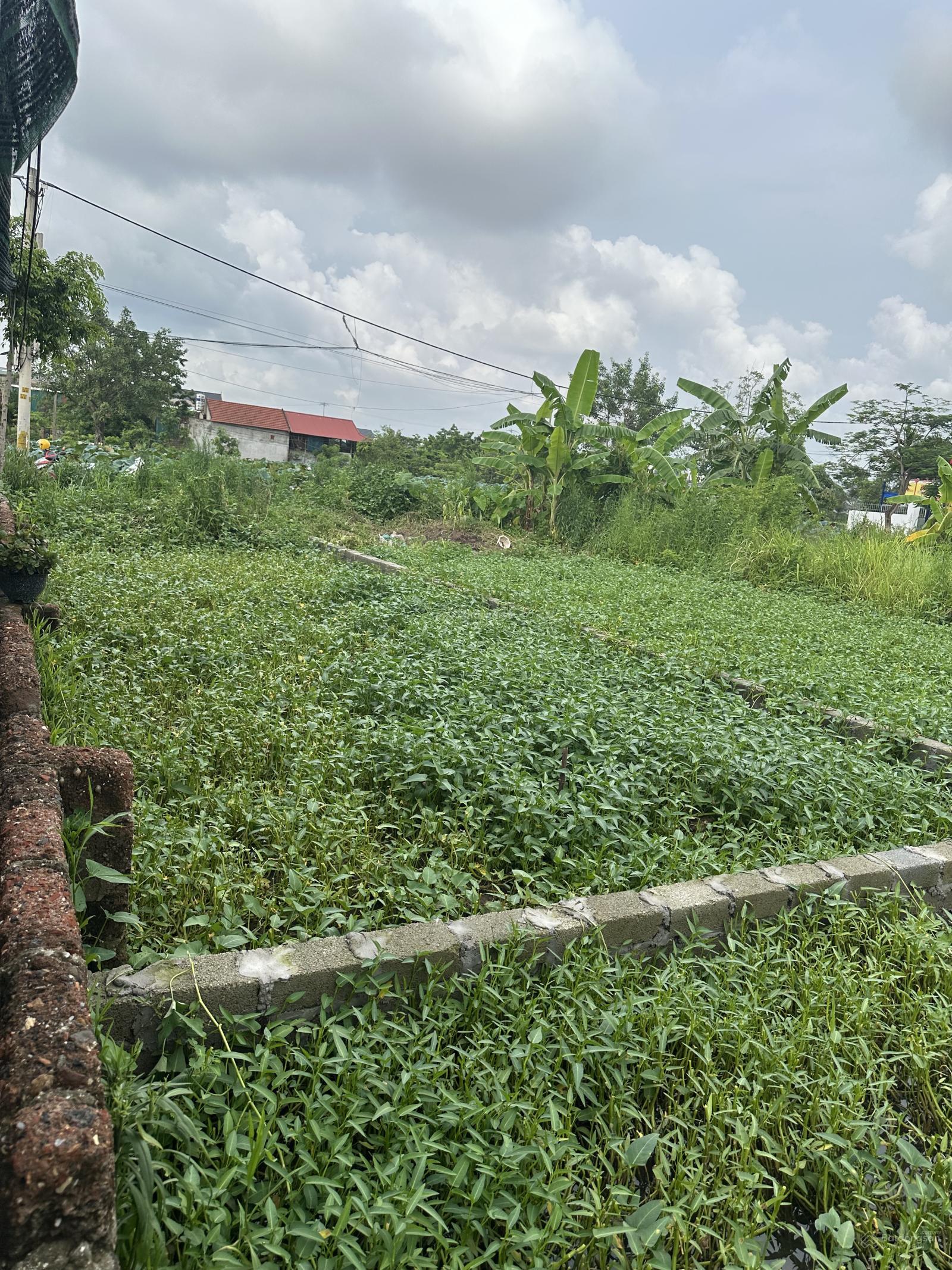 Nhỉnh 1 tỷ lô đất vuông vắn ô tô đỗ cửa tại Tự Nhiên, Thường Tín 0788 335 ***