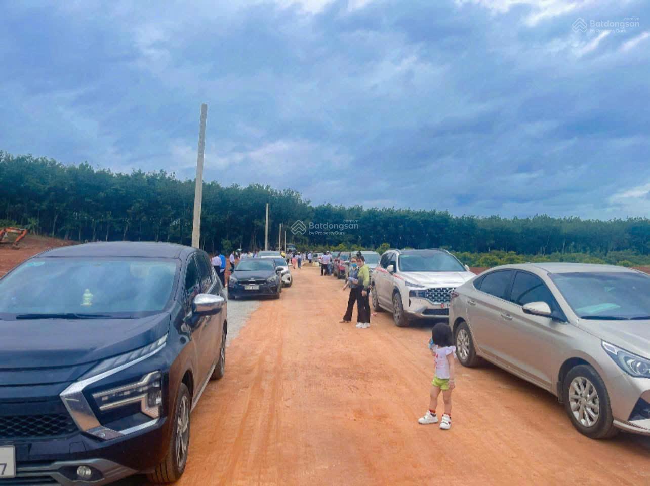 Chủ cần bán 2 lô đất liền kề giá cực rẻ, xã Phú Riềng Đồng Nai, SHR