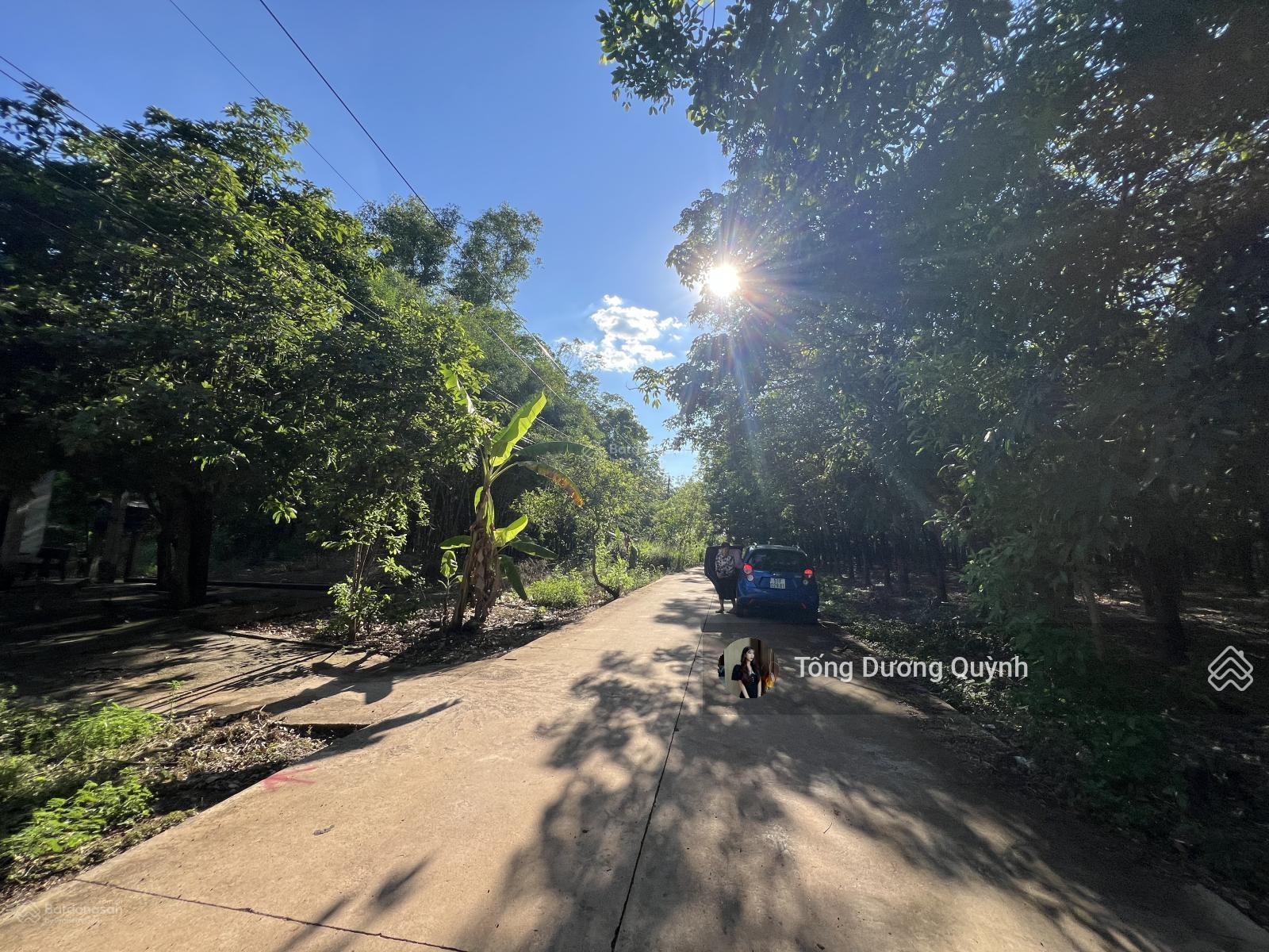 Cần bán nhanh lô đất tại Bình Dương 479m2 giá 500tr SHR