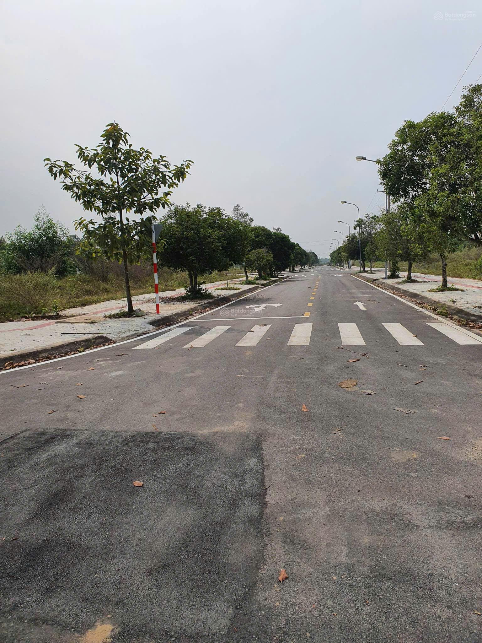 Mặt tiền 25C dự án Long Tân City - bán 1 cặp view công viên 120m2, gần cổng chính