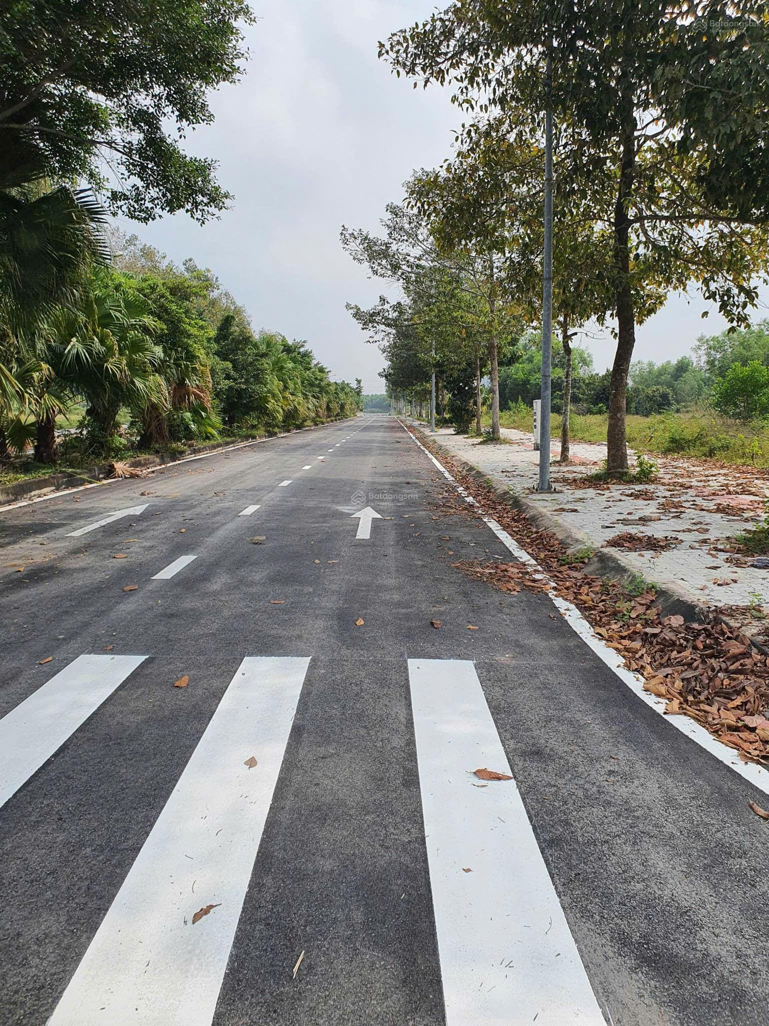 Mặt tiền 25C dự án Long Tân City - bán 1 cặp view công viên 120m2, gần cổng chính