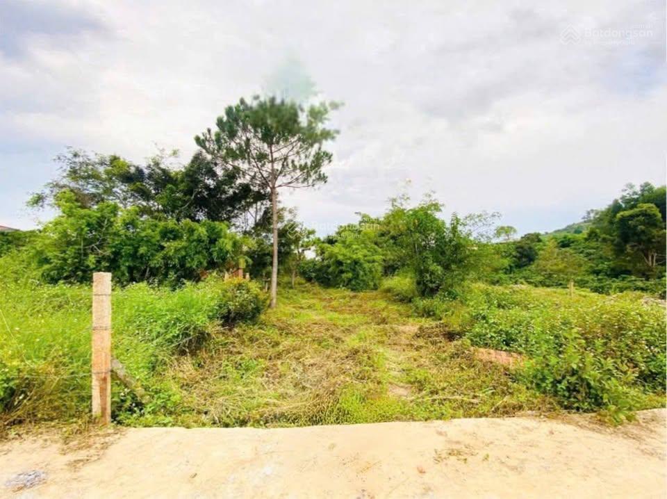 Bán 109m2 đất xã liên hiệp đức trọng lâm đồng 900 triệu cách sân bay liên khương 6 km