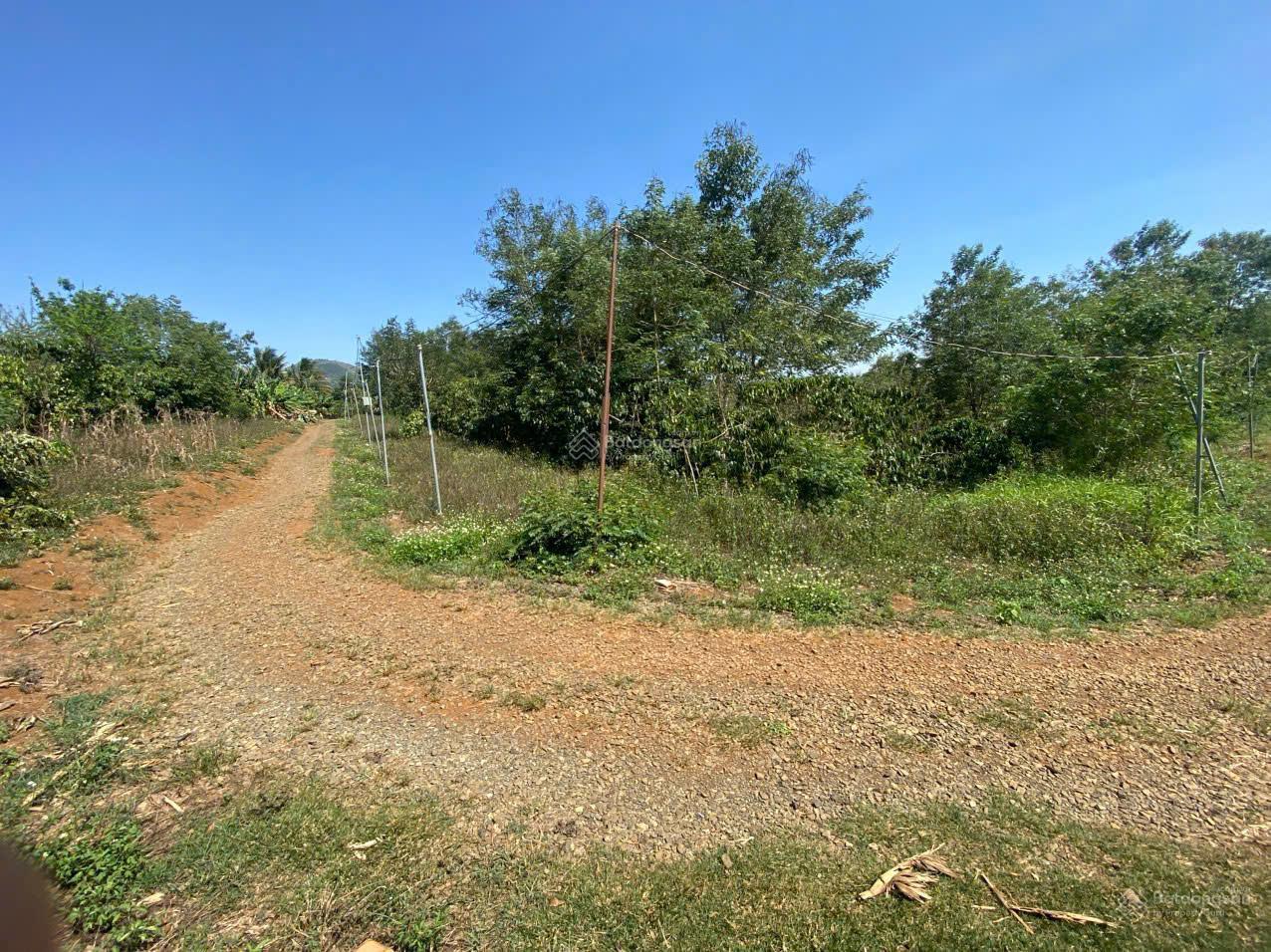 Bán lô đất 3 mặt tiền tại xã Đinh Trang Hoà, huyện Dinh Linh, Lâm Đồng